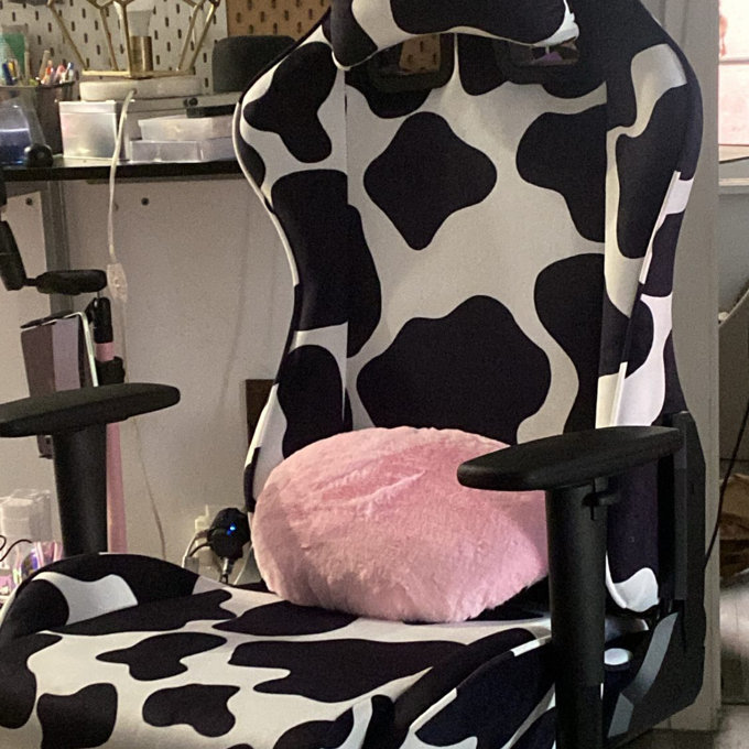 【Furniture】PC & Racing Gaming Chair