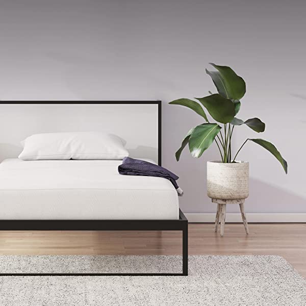 Signature Sleep Memoir 12