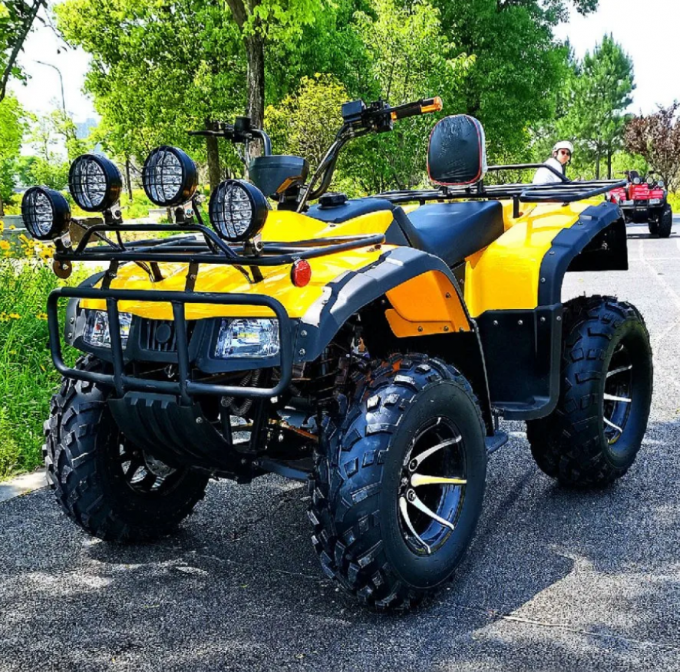 250cc Four-Wheel Drive ATV Longding Quad ATV Farmer Quad Bike