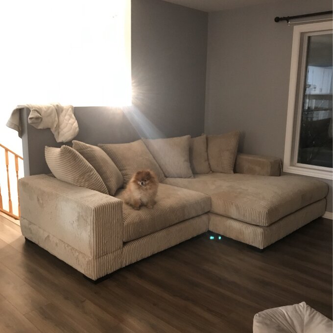 【Furniture】Luxe 2 - Piece Upholstered Chaise Sectional