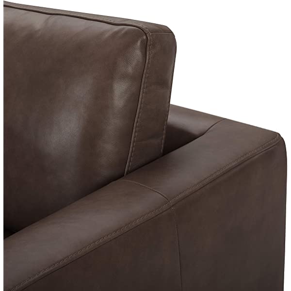 Amazon Brand - Stone & Beam Westview Extra-Deep Down-Filled Sofa Couch, 89